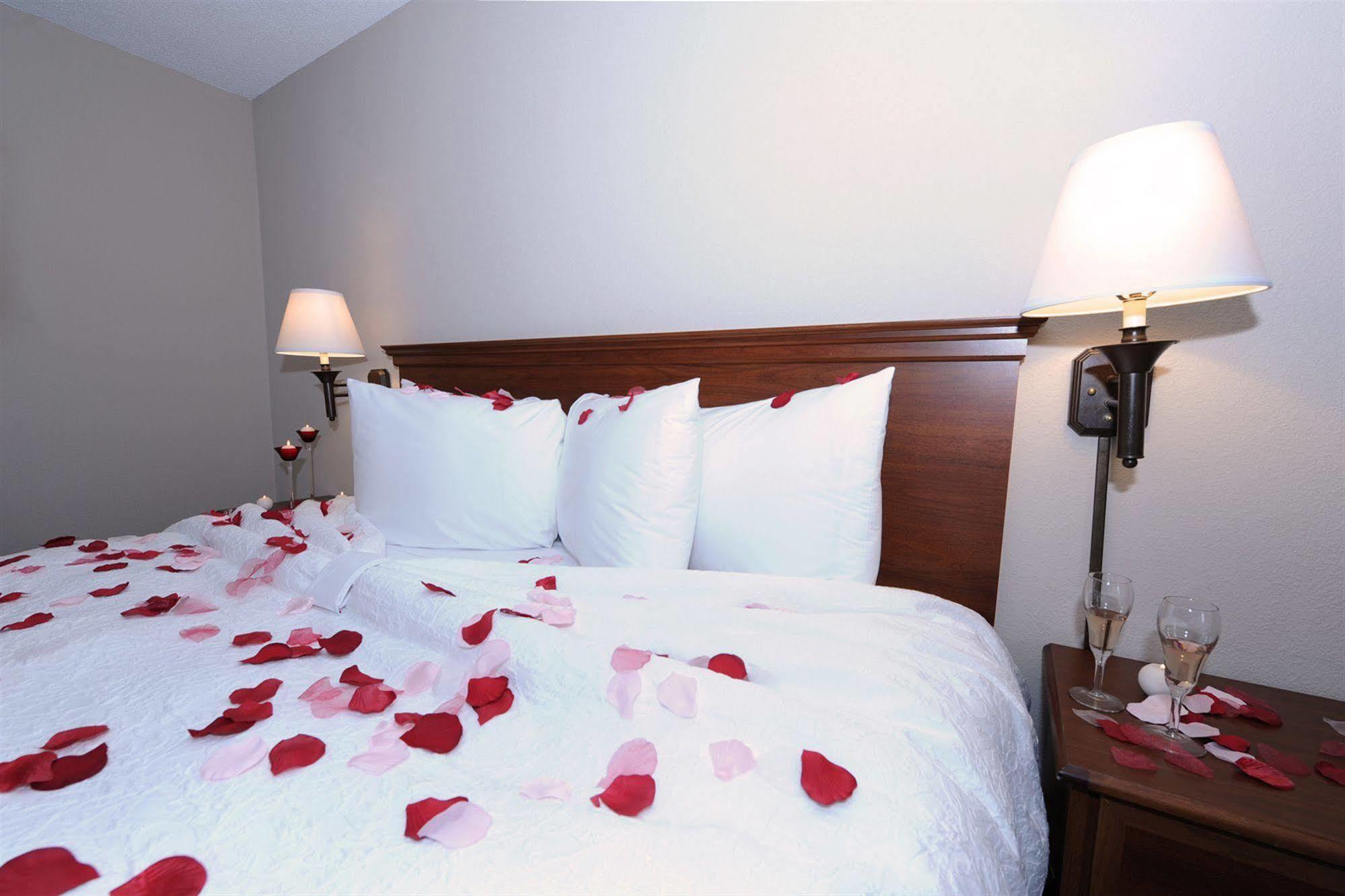 מורו Hampton Inn Hotel Atlanta-Southlake מראה חיצוני תמונה